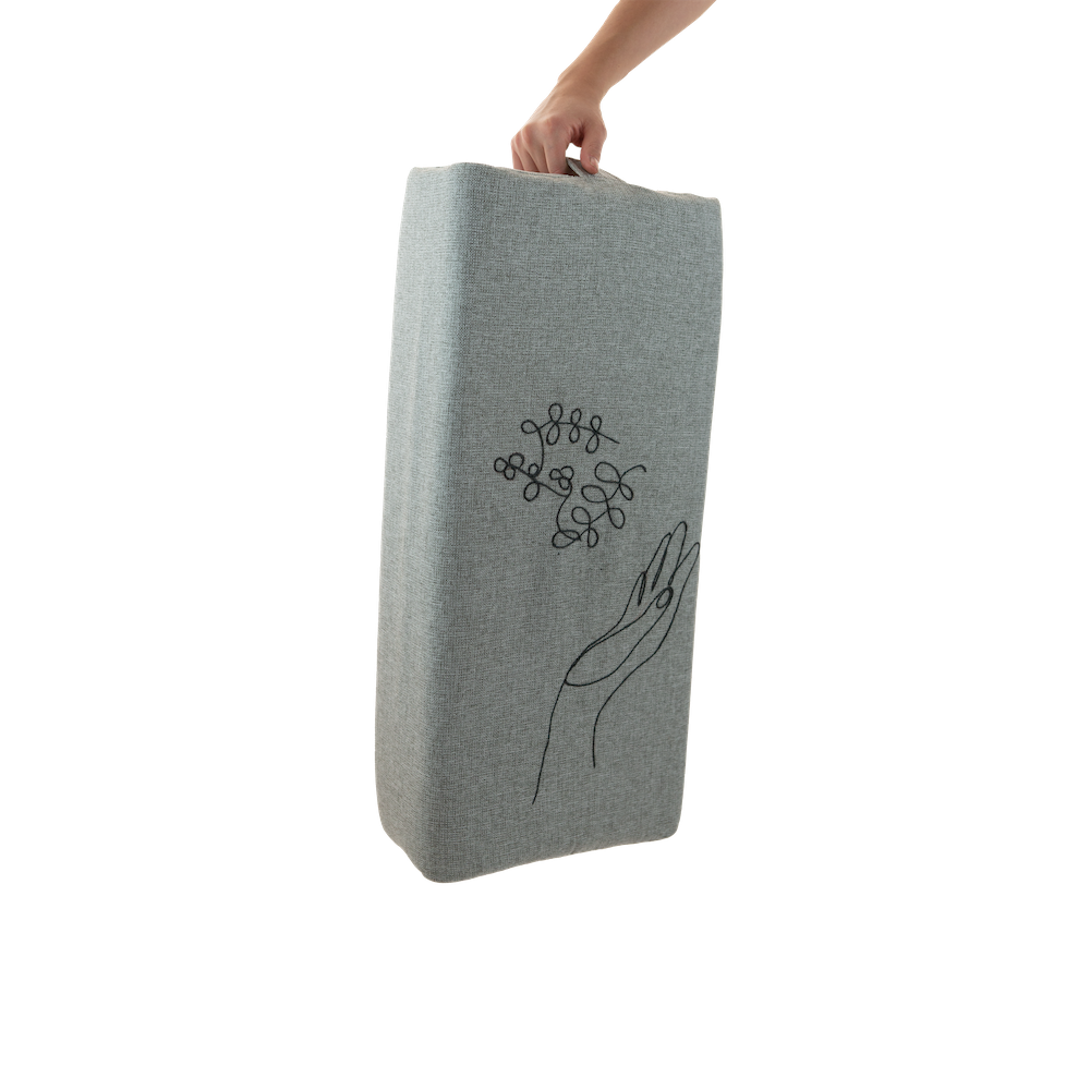 Bolster Aparigraha